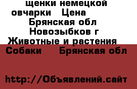 щенки немецкой овчарки › Цена ­ 8 000 - Брянская обл., Новозыбков г. Животные и растения » Собаки   . Брянская обл.